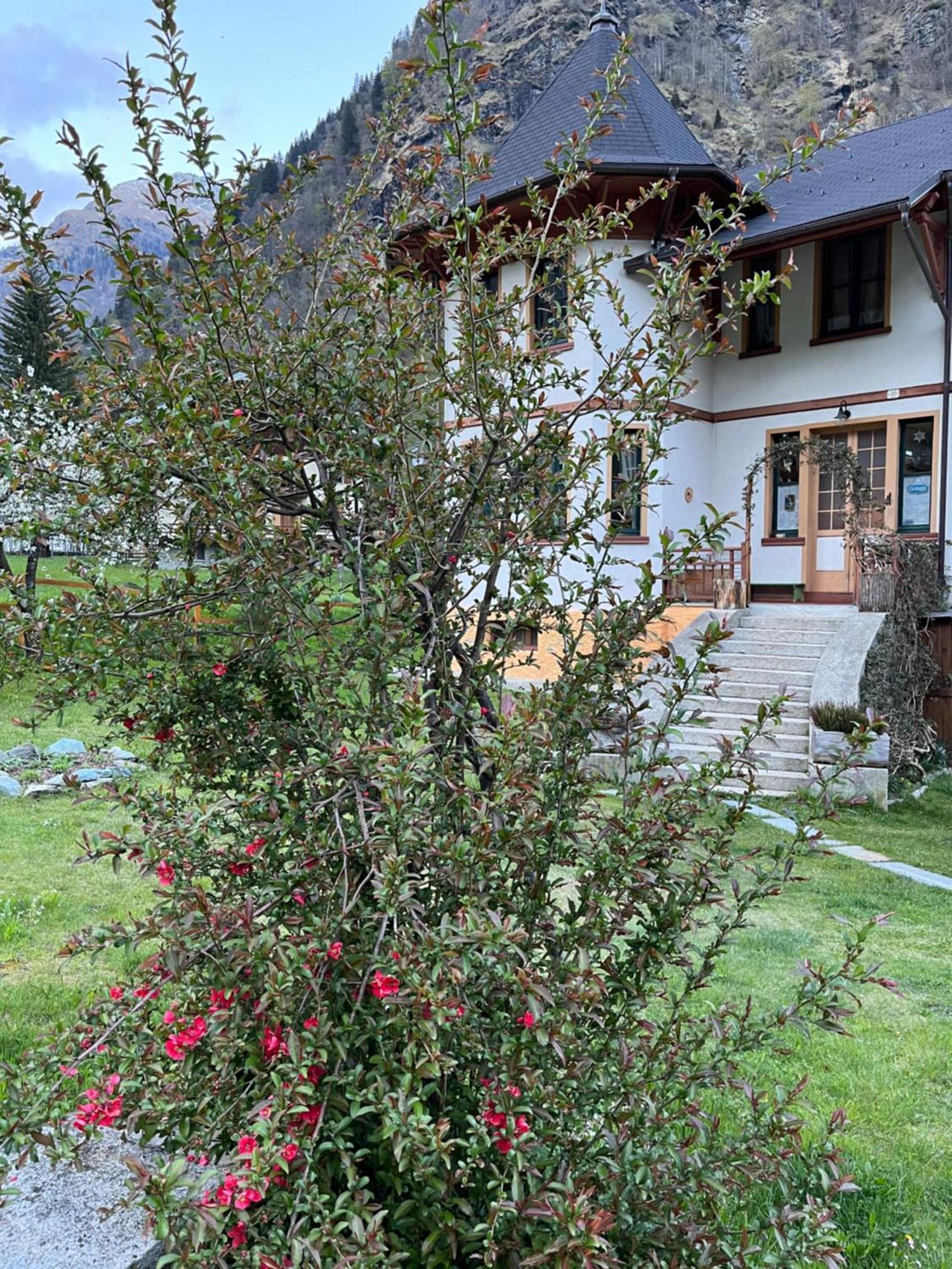 L'Aria Di Casa Bed & Breakfast Alagna Valsesia Dış mekan fotoğraf