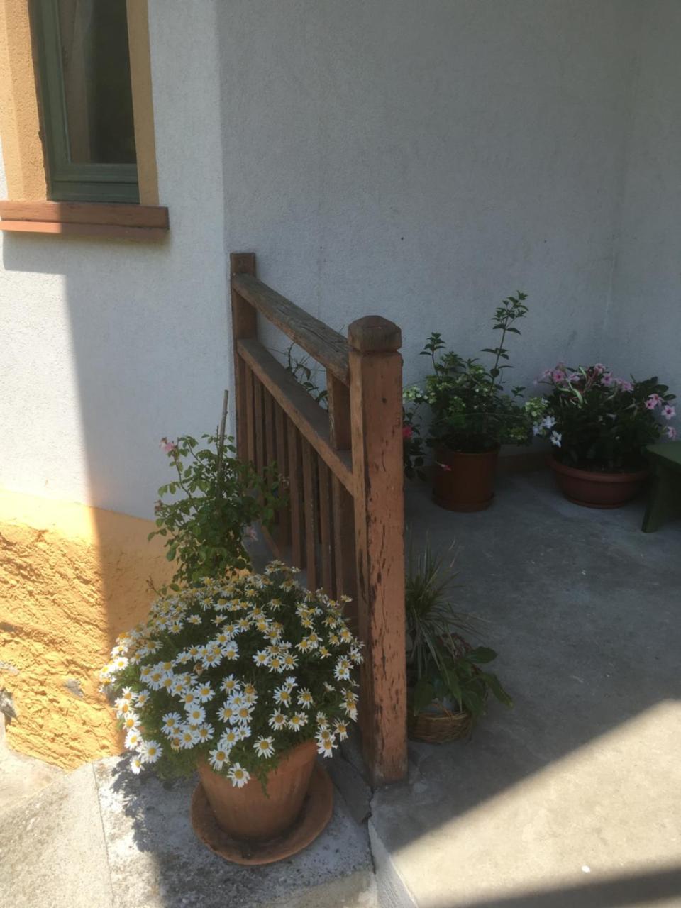 L'Aria Di Casa Bed & Breakfast Alagna Valsesia Dış mekan fotoğraf